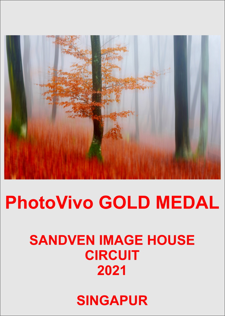 PHOTOVIVO GOLD-AA