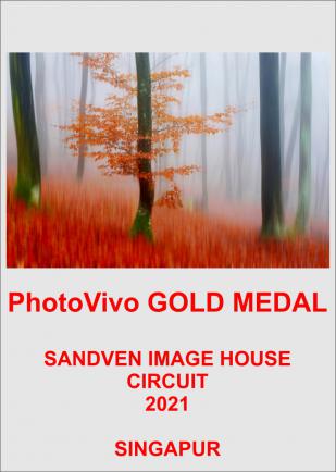 PHOTOVIVO GOLD-AA