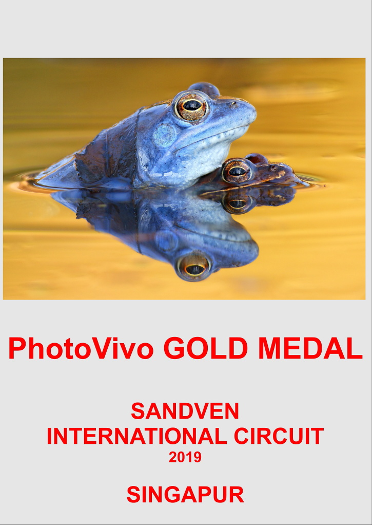 PHOTOVIVO GOLD-LOVE-POMANJSANA SLIKA