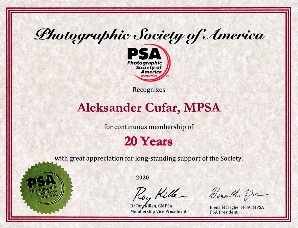 PSA 20 YEARS-2AA