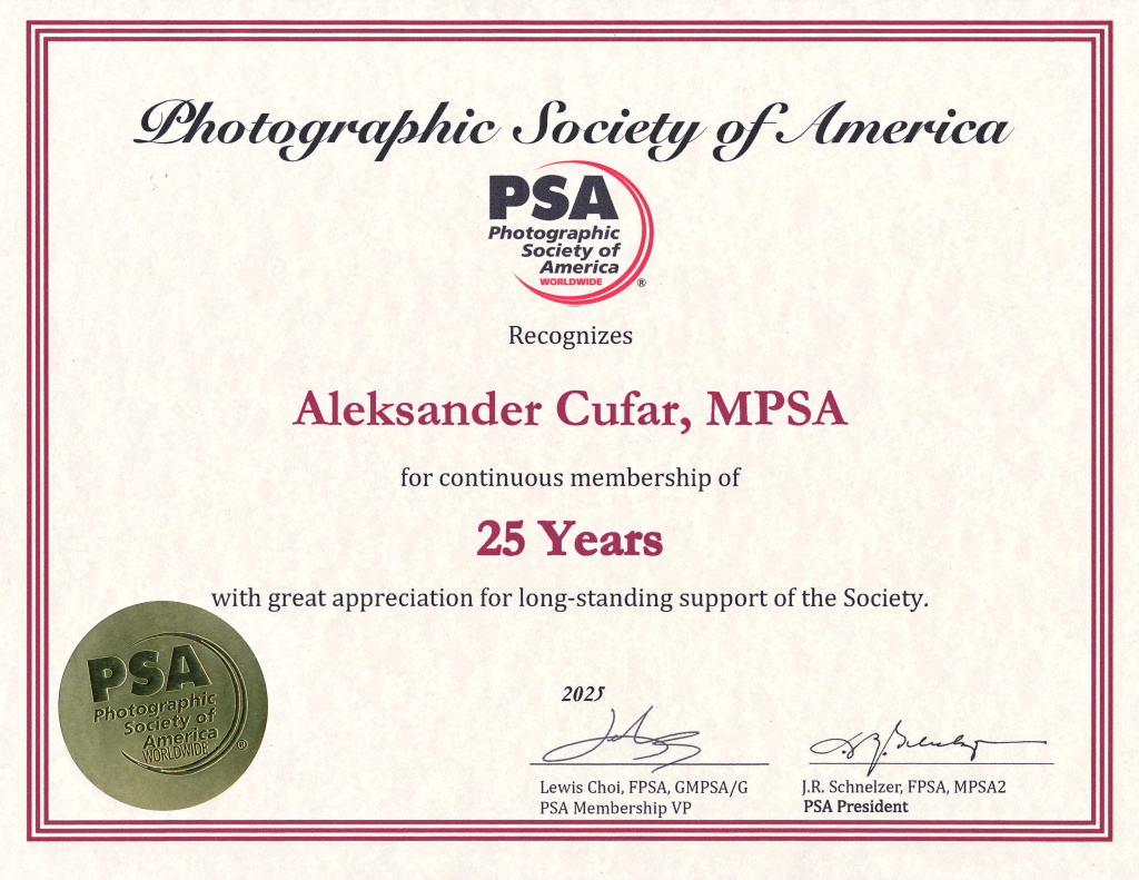 PSA 25 YEARS-2025-1-AA