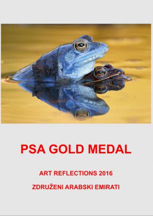 PSA GOLD ART REFLEKTIONSDD