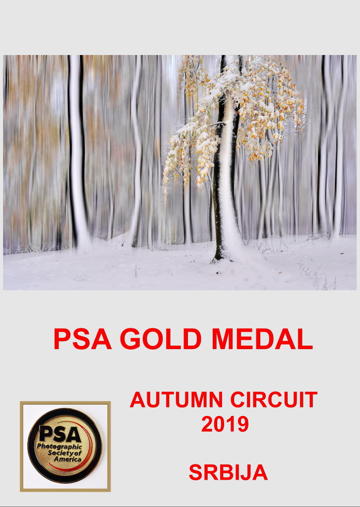 PSA GOLD AUTUMNAA