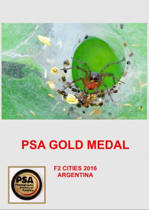 PSA GOLD  F2 ARAA