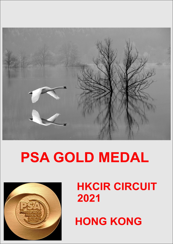 PSA GOLD HONG KONGAA