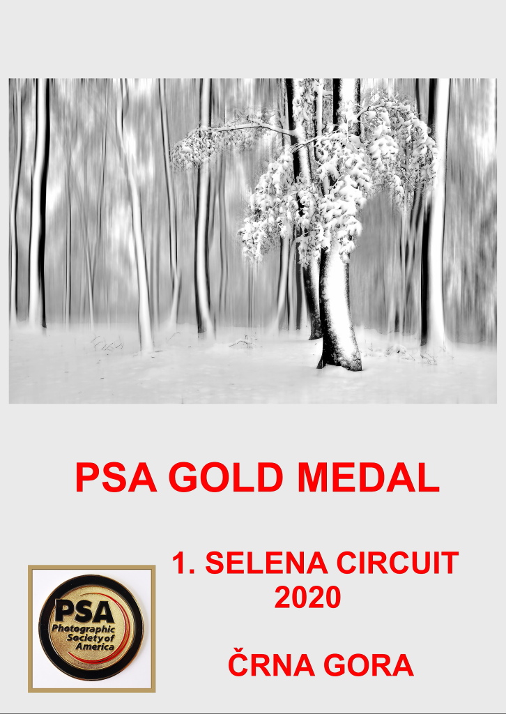 PSA GOLD SELENADD