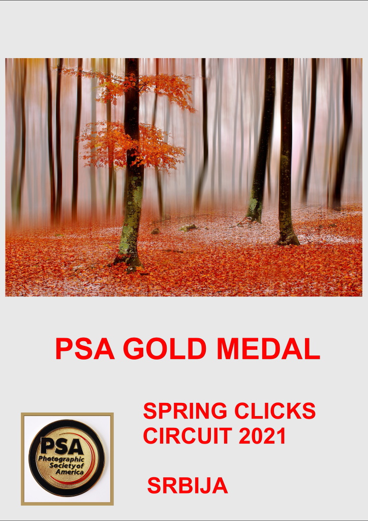 PSA GOLD SPRING CLICKS 21-AA