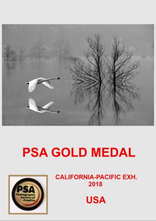 PSA GOLD -USA 18AA