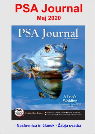 PSA JOURNAL 2020DD