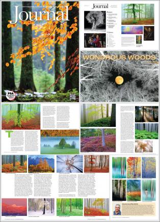PSA JOURNAL-8-2026-3-POM