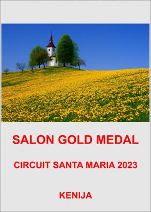 SALON GM-KENIJA-AA