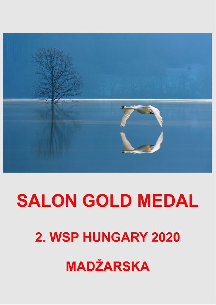 SALON GOLD MADZARSKAAA