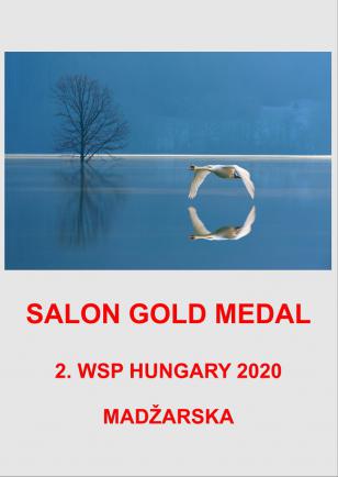 SALON GOLD MADZARSKAAA