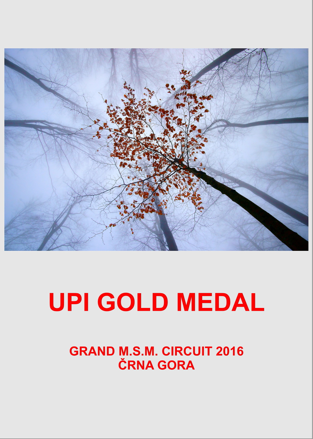 UPI GOLD UP 1000DD