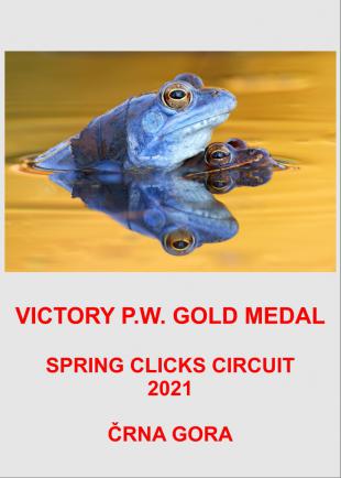 VICTORY GOLD SPRING CLICKS 21-AA
