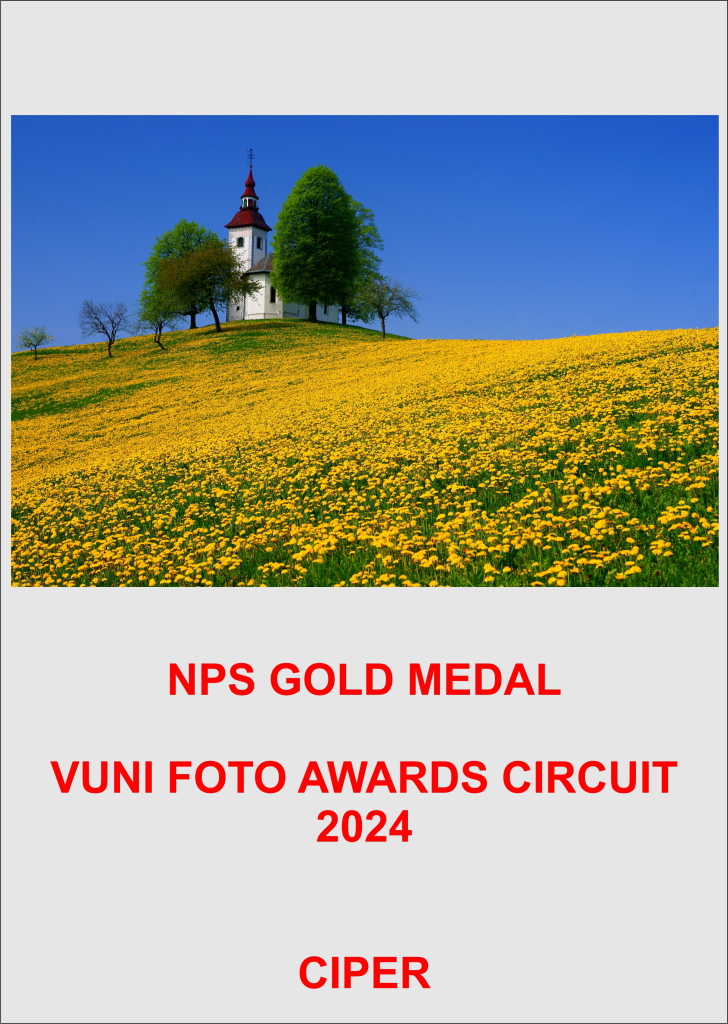 VUNI GOLD-AA