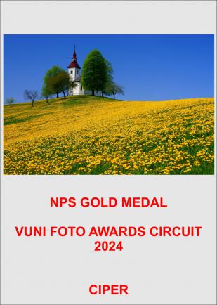 VUNI GOLD-AA